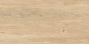 Керамогранит Buono Ceramica Forest Sweet Home Matt арт. FVL4511M (60x120) матовый